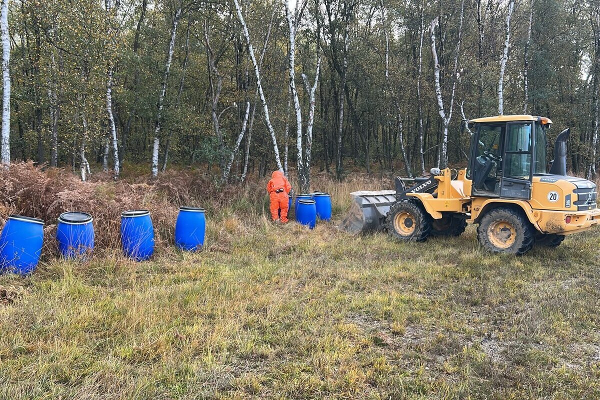 Schlachtreste Fund im Further Moor 