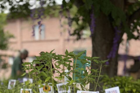 Plakat 40 Jahre Biogarten